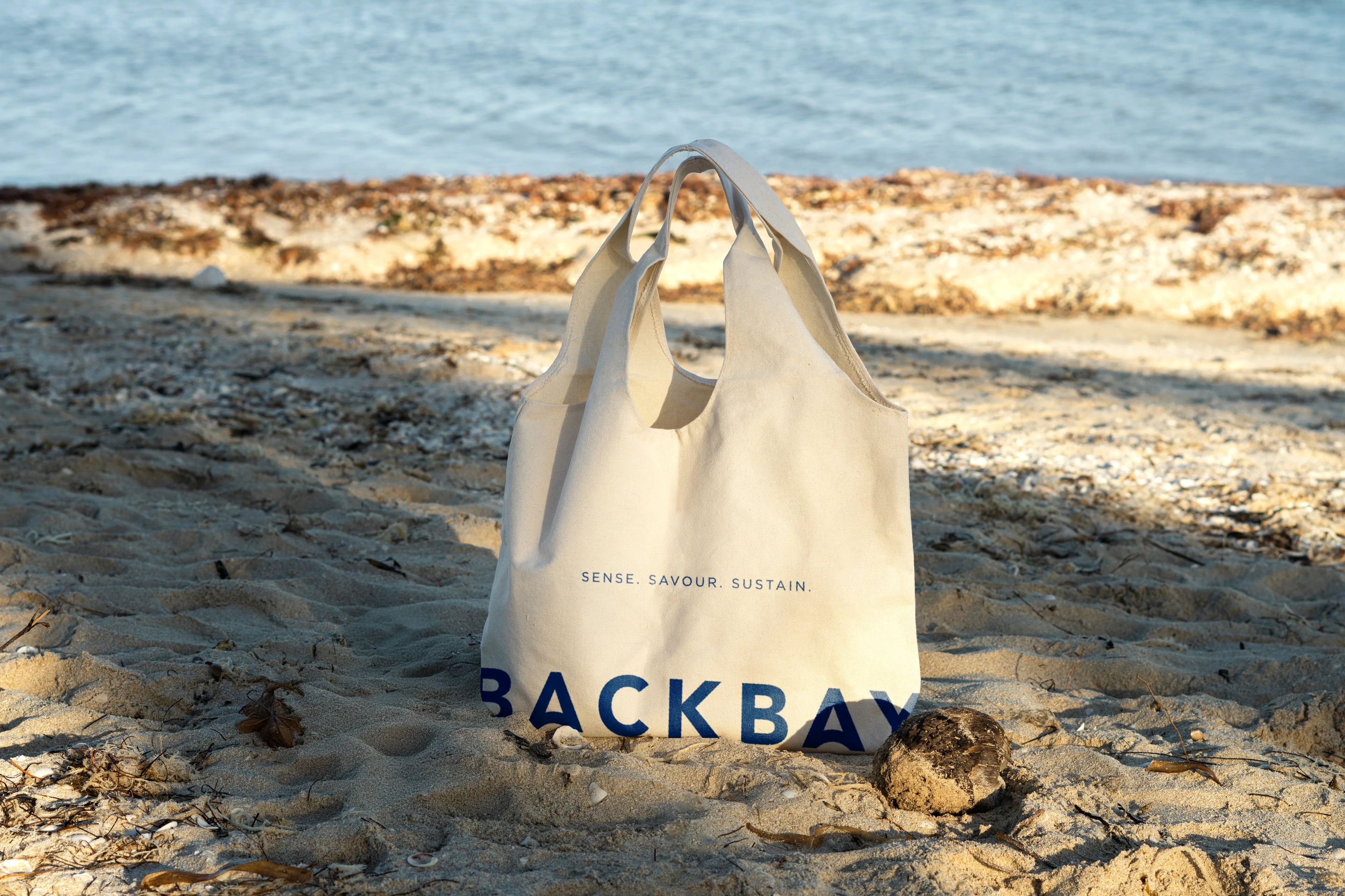 Backbay in context