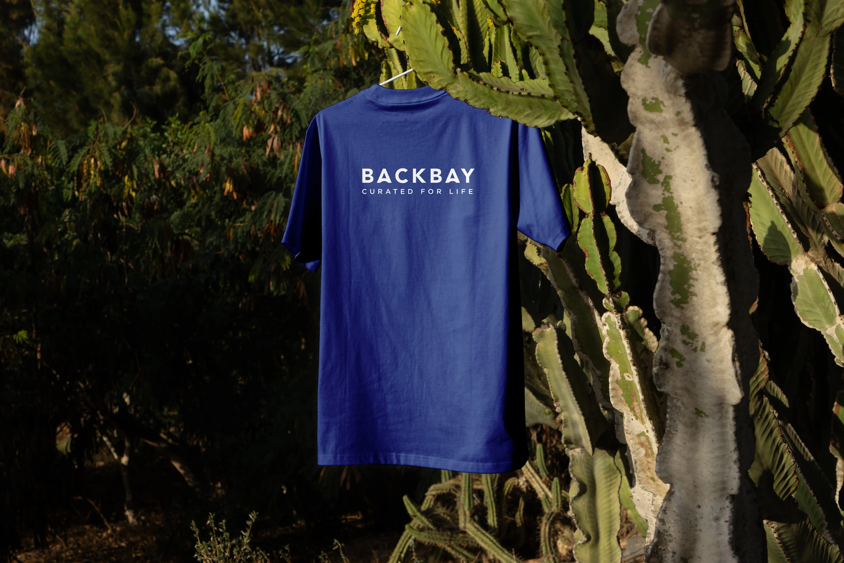 Backbay in context