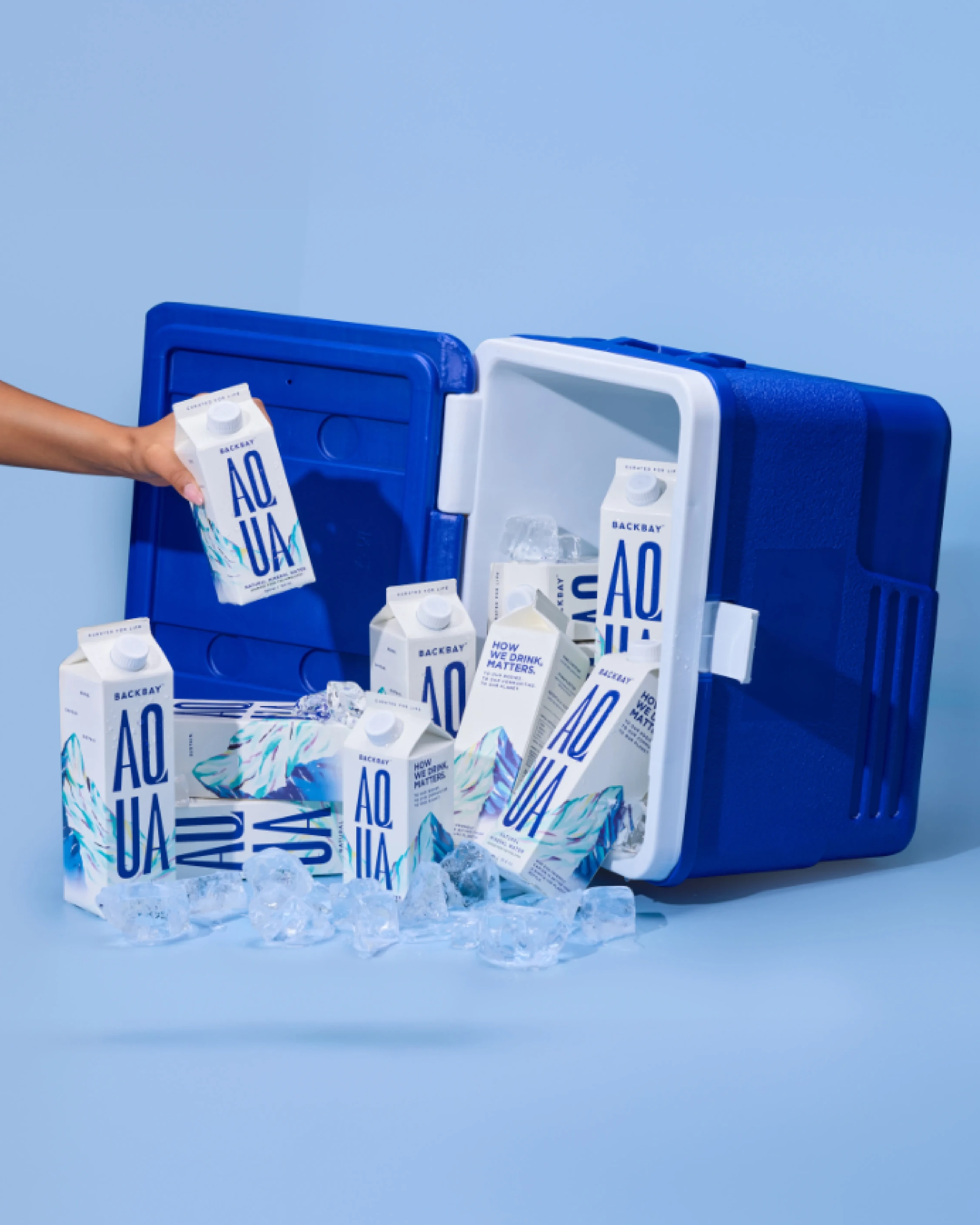 Backbay brand system
