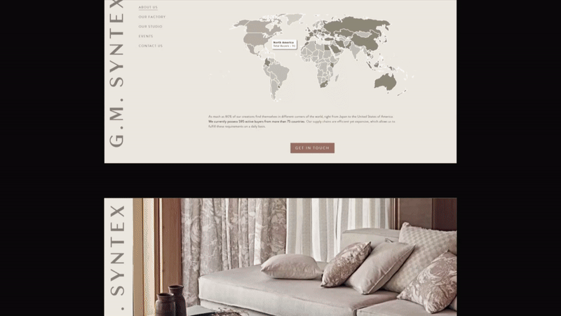 G.M. Syntex website in motion
