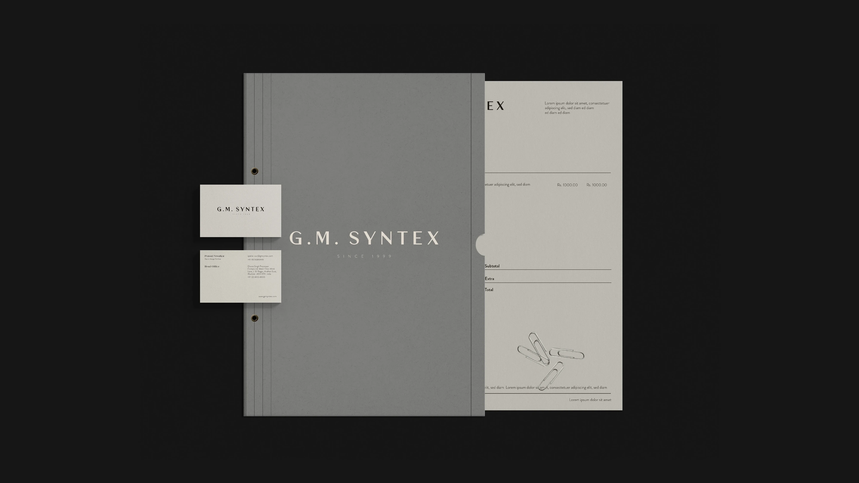 G.M. Syntex website design