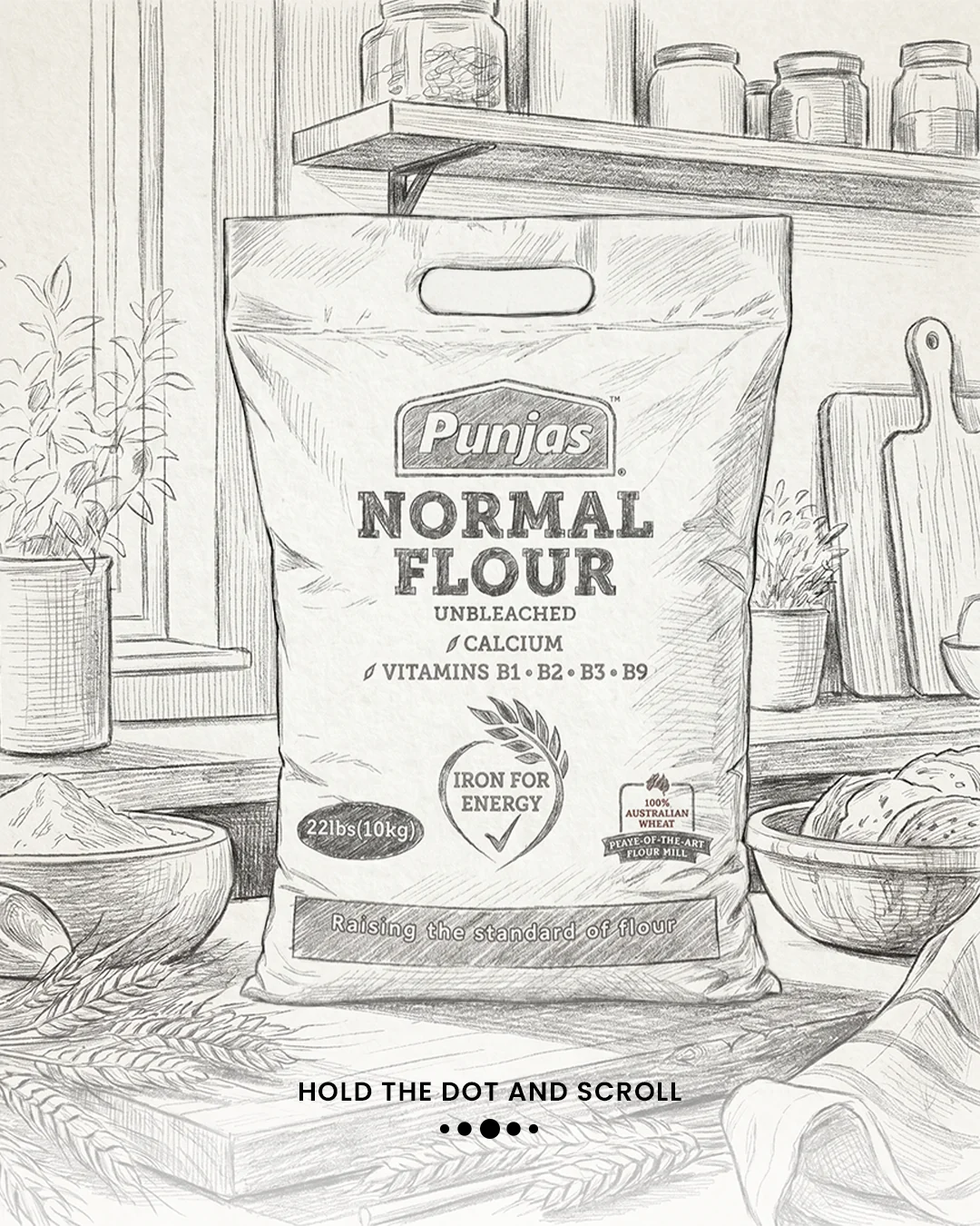 Punjas Flour social creative